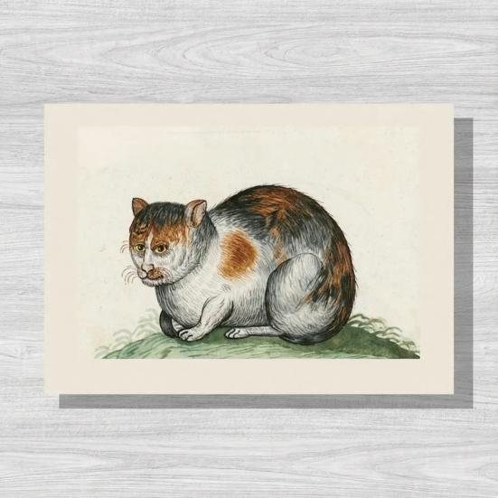 Уродливые коты на картинах эпохи Возрождения Календарь 2026 Смешные средневековые коты Настенный календарь Винтажный 12-месячный планировщик Странное настенное искусство с котами эпохи Возрождения для кота