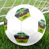 Rapid Wien Soccer Ball, colorful, suitable for all ages, machine-stitched, PVC material, competition grade, durable and high bounce