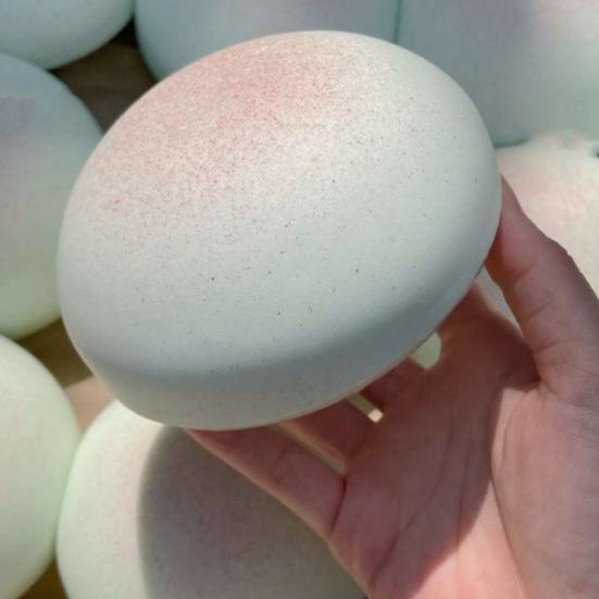 Melon Slow-Rising Squeeze Toy Soft PU Sensory Toy Cute Fruit-Shaped Decompression Gadget for Relaxation And Anxiety