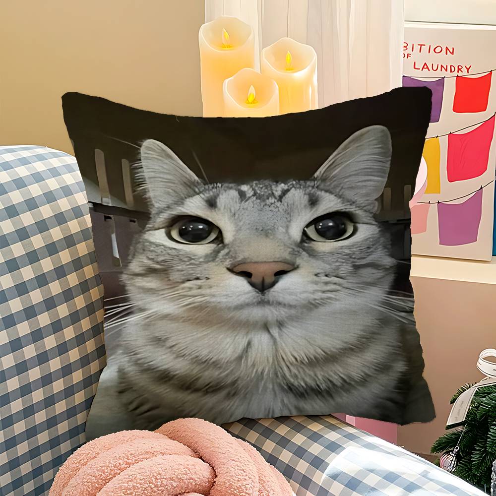 Fun Cat Meme Zazu Office Cushion Pillowcase Car Cushion CoverXCM Lumbar Pillowcase Sofa Pillowcover