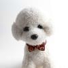 4pcs Cat Dog Halloween Collar Set Soft Bowknot Pet Costume Collar