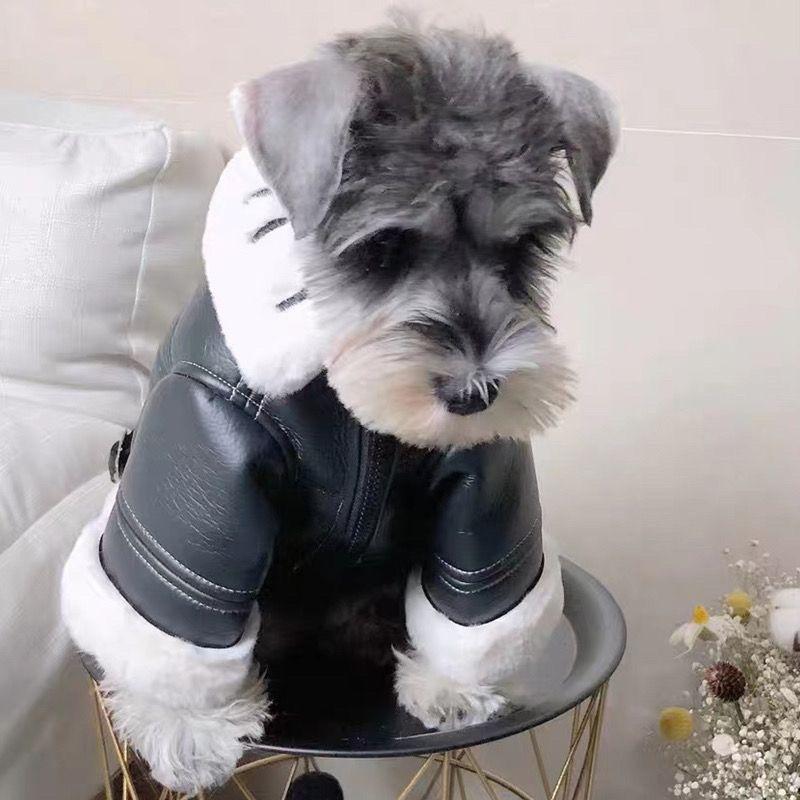 Зимняя одежда Утолщенная меховая мотоциклетная куртка Одежда для собак