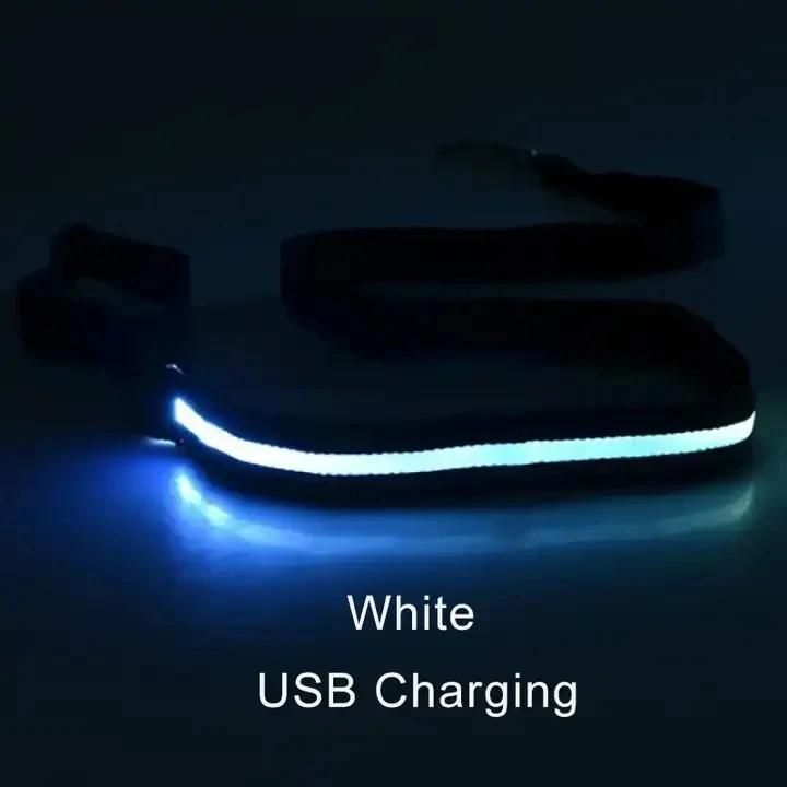 Светодиодная веревка-поводок для собаки с подсветкой, светящийся поводок, USB-зарядка для безопасности собаки, мигающий светящийся ошейник, аксессуары для шлейки