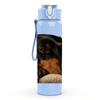 1PC Dachshund Dog On Cushion 750ml Color Plastic Sports Water Bottle Leakproof Flip Straw Lid Suitable for Sports Office Home Use