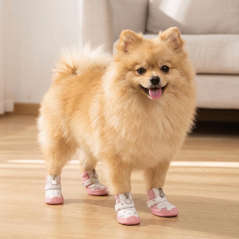 4Pcs Breathable Mesh Dog Shoes Anti-Slip Sole Anti-Slip Dog Booties Outdoor Walking