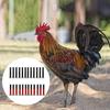 10PCS Upgrade Anti Crow Rooster Collar,No Crow Noise Neck Belt for Roosters,Anti Noise Nylon Neck Belt to Keep Roosters Quiet,Disturbing