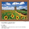 Yanoman [Made in Japan] 108-Piece Jigsaw Puzzle, Large Pieces, Japanese Landscape: Dutch Windmills and Sunflowers, Chiba (26x38cm), 01-2082, Includes