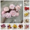 Strawflower & Chrysanthemum Forest-Style Dried Flower Arrangement