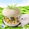 Hamster Chew Toys For Teeth - Guinea Pig Chew Toys For Teeth Food Chews Treats Hamster Cage Accessories