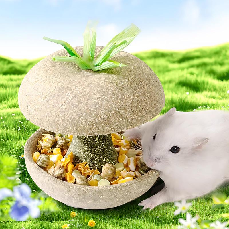 Игрушки для жевания хомяков для зубов - Игрушки для жевания морских свинок для зубов, жевательные лакомства для еды, аксессуары для клетки хомяка