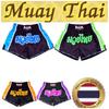Шорты для тренировок по тайскому боксу, кикбоксингу, смешанные боевые искусства, винтажные ретро-шорты с принтом 3D, эластичная талия, боевые искусства, быстросохнущие, унисекс, для мужчин и женщин