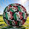 1pc Eagle Snake Soccer Ball Size 5, Suitable for Practice Matches/tournament Training,Lightweight and Durable. mxg7023