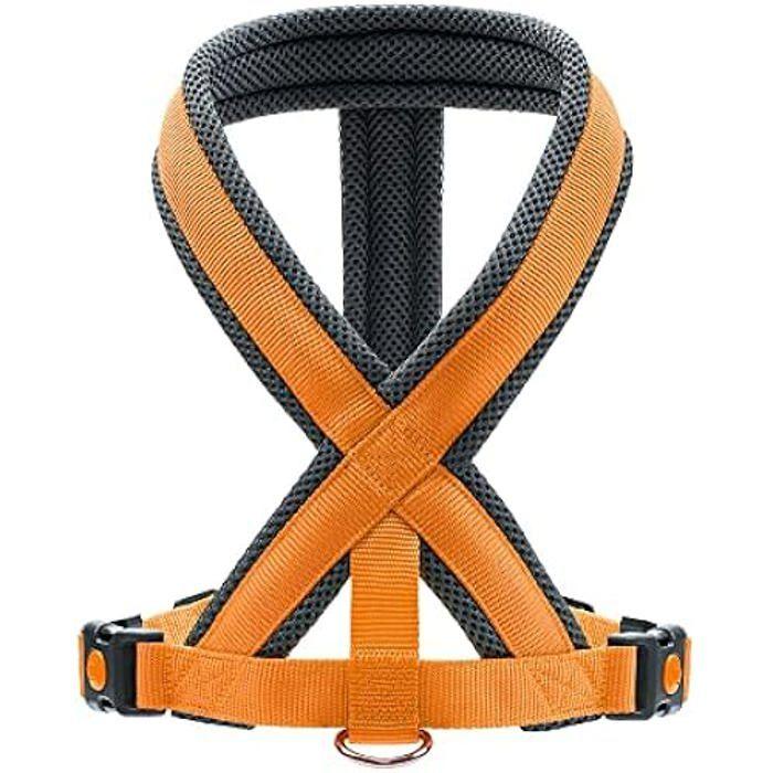 Harnais - HUNTER - London Comfort - Rembourré - Sécurité - Taille 48-56 cm
