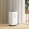 16L/Day Portable Dehumidifier for Home, with LED Screen, Sleep Mode, 24H Timer, 4L Water Tank
