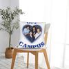 Off Campus Poster 2 Pillow Cover Soft Cushion Cover Retro Trendy Pillow Case For Wedding Party Home Decor