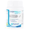COMPLEMENT TONUS - COMPLEMENT VITALITE ERGYPHILUS Défense Nutergia - 60 Gélules