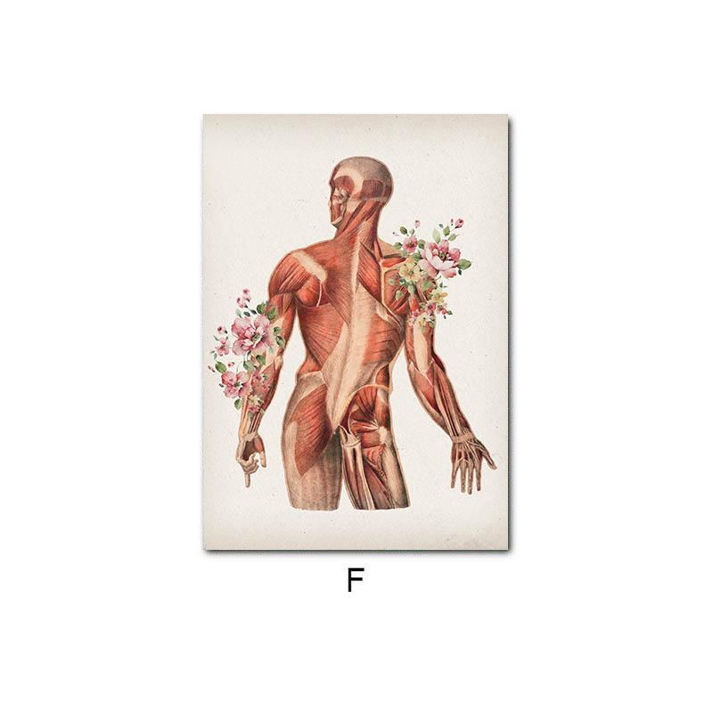 Human Body Muscle Structure Wall Art Canvas Painting Retro Anatomy Medical Print Posters Education Picture Study Room Decoration
