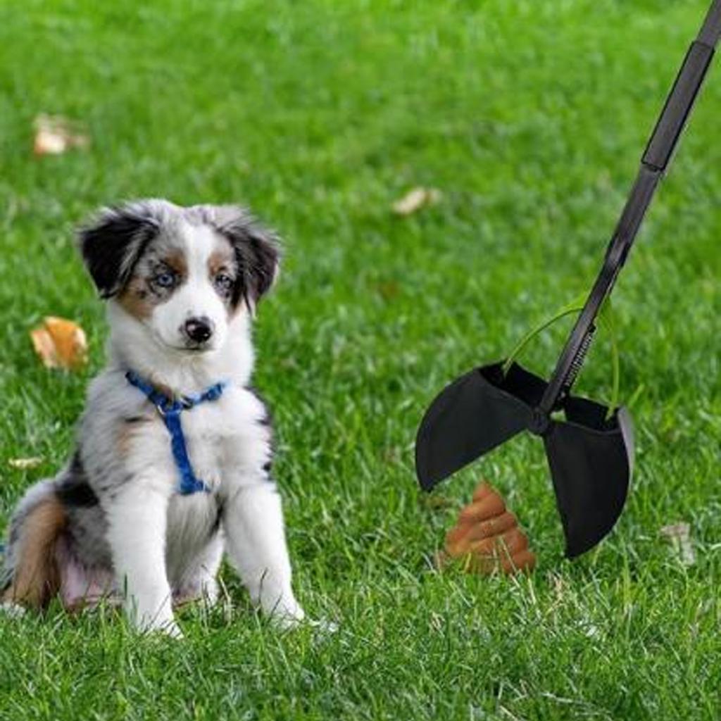 Складной совок для уборки собачьих какашек, многоцелевой, большой емкости, с длинной ручкой, для больших, средних и маленьких собак