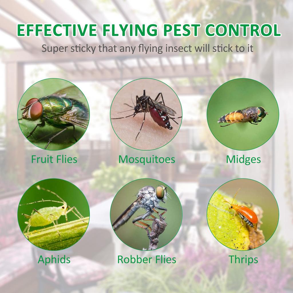 50 шт. липкая ловушка для насекомых двусторонняя липкая ловушка для летающих насекомых в помещении и на открытом воздухе комнатные растения летающая бумага