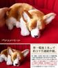 Ninja and Kino Perfect Pet Corgi Plush Perfect Dog Stuffed Kooikerhondje (Small) Toy, Realistic, Lifelike, Animal, Soothing, Moving, Gift,