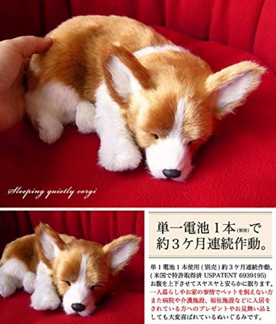 Ninja and Kino Perfect Pet Corgi Plush Perfect Dog Stuffed Kooikerhondje (Small) Toy, Realistic, Lifelike, Animal, Soothing, Moving, Gift,