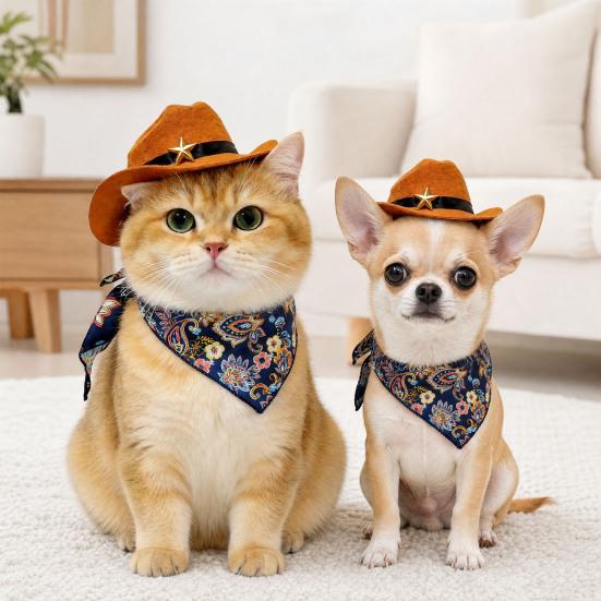 1 Set Cat Cowboy Cowboy Hat Costume Adjustable