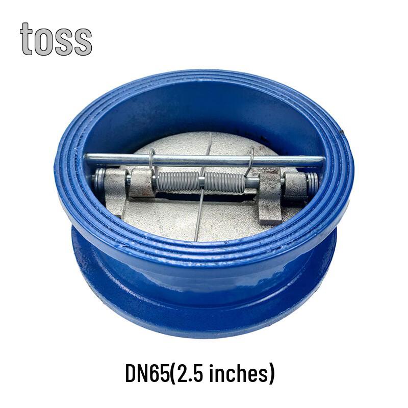 TENGZHI H77X-16 Cast Iron Wafer Butterfly Check Valve