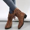 2025 Large Size Women's Boots Autumn and Winter New European and American Retro Fringed Boots Suede Pointed Square Heel Sleeve Short Boots