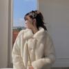 Lamb Wool Imitation Fur New Female Young Short Imitation Rex Rabbit Fur Plush Autumn and Winter