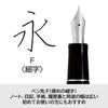 PILOT Custom Heritage 91 Перьевая ручка Fine (тонкое перо) 14K Золото, (F), Черный, FKVHN12SRBF, Перо.