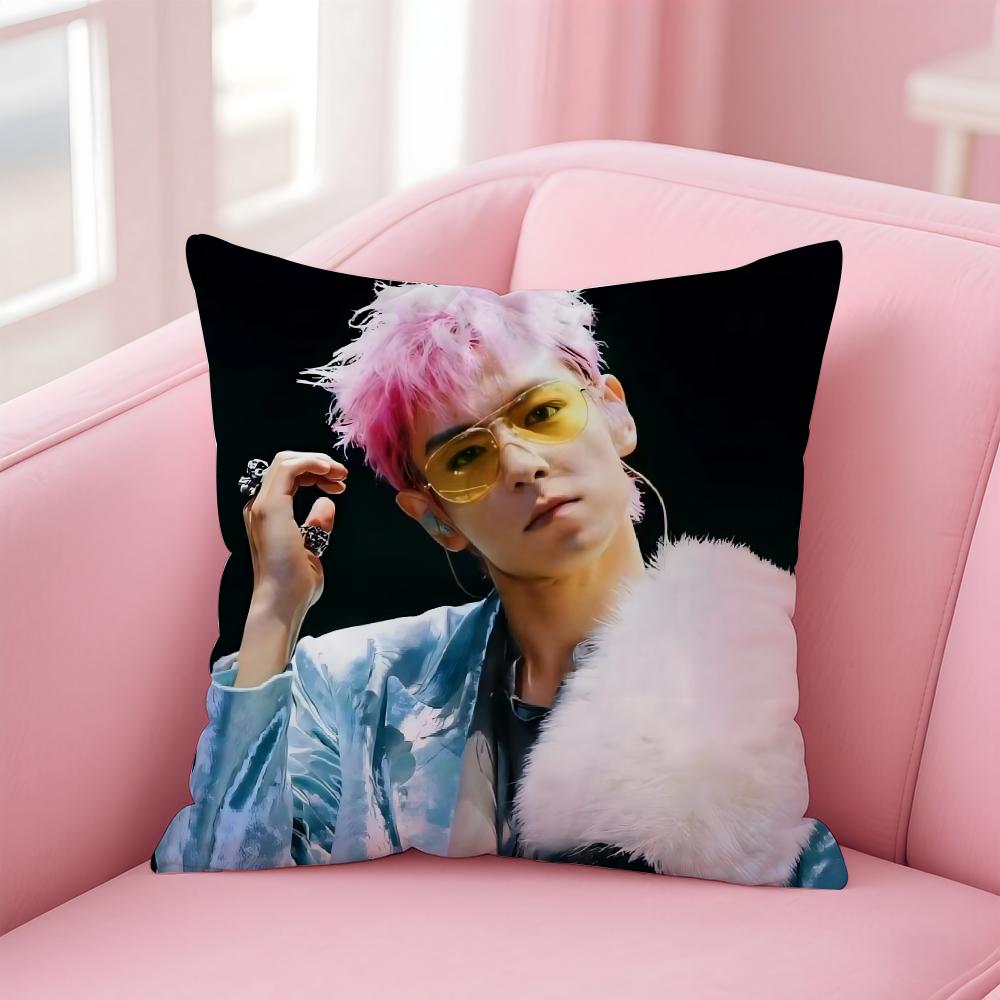 Чехол для подушки Singer T.O.P - Многоцелевой чехол для дома и автомобиля - Двусторонний, Мягкий и Прочный для Ежедневного Использования