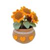 Tulip Flowerpot Flower/Sunflower Crochet Kit Crochet Starter Kit Handmade Crafts Lovers