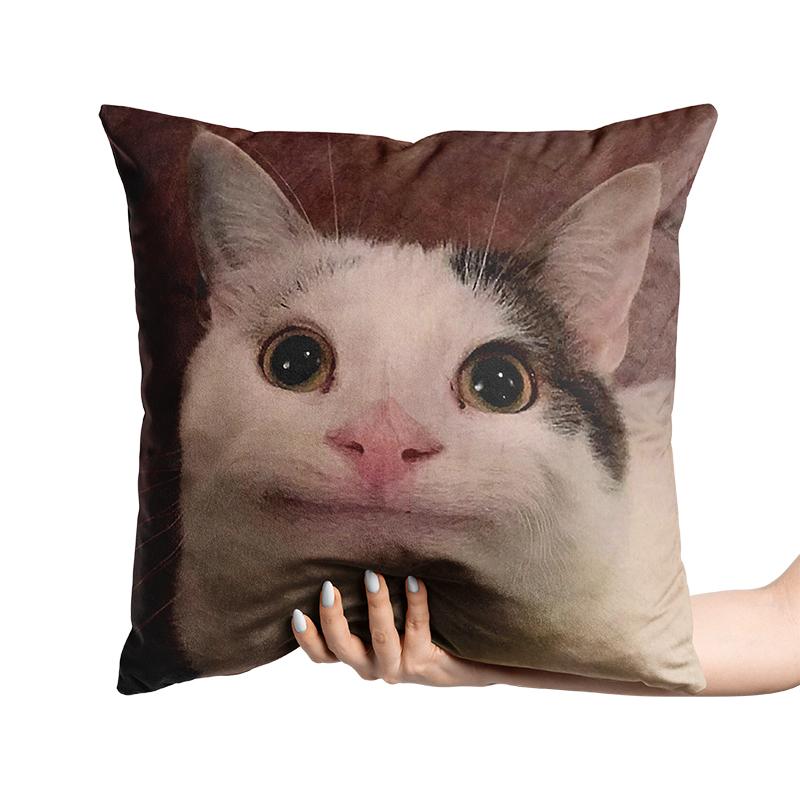 Aertemisi 18'' X 18'' Beluga Cat Funny Meme Square Throw Pillow Cushion Covers Cases Pillowcases 45Cm X 45Cm