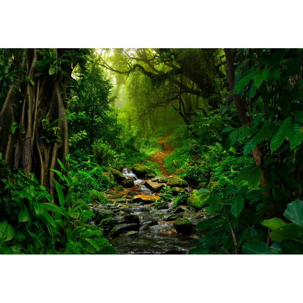 Spring Forest Backdrop Tropical Jungle Rainforest Backdrops for Photography Camping Adventure Birthday Background Photo Studio