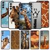 Чехол для телефона с жирафом для Samsung Galaxy S24 S23 S22 S20 Ultra S21 FE 5G S10 S9 Plus S10E S8 Мягкий силиконовый чехол