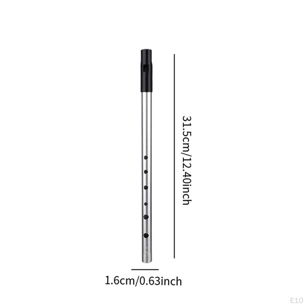 Свисток Флейта Свистящий Легко Чистый Инструмент Подарок на День Рождения Портативный Пенни 6 Отверстий