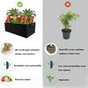 Multi-size Grow Bag Felt Planting Container Durable Plant Nutrition Bag  Outdoor
