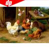 Полная Алмазная Вышивка Животное "Цыпленок" 5D Алмазная Картина Вышивка Крестом