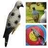 Simulated Pigeon Archerys Baits Targets Foam Animal Baits Targets Decoration Shooting Targets for Outdoor Hunting Games