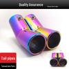 Bora Golf 4 Colorful Stainless Steel Dual Outlet Exhaust Muffler Tailpipe