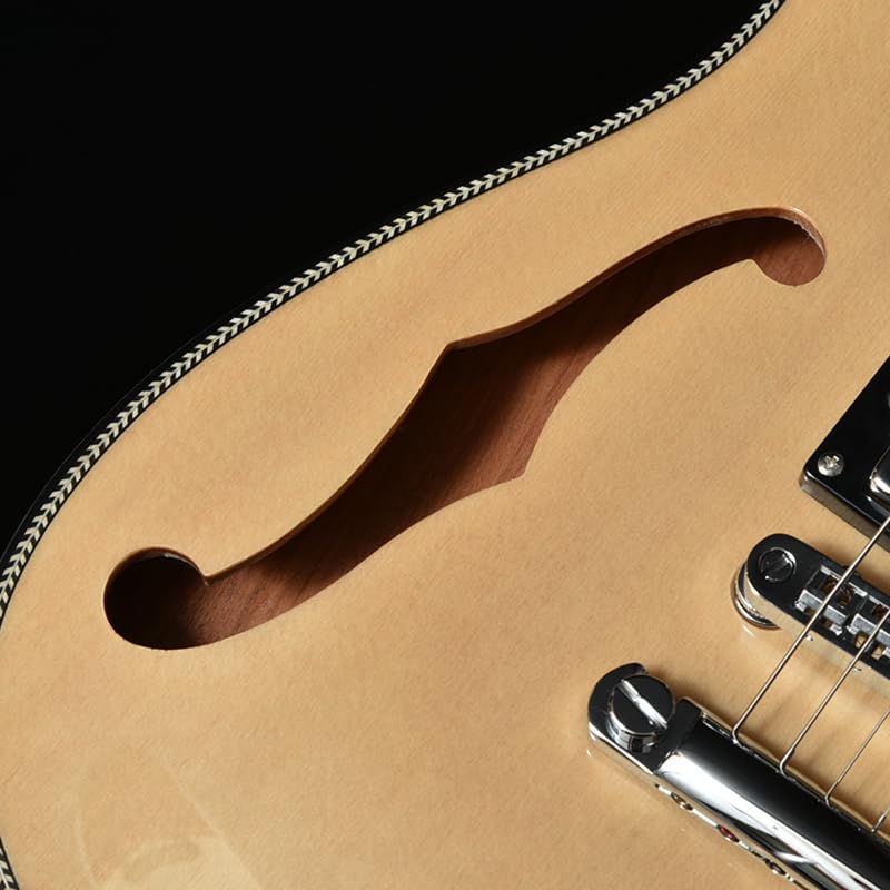 BACCHUS Global Series NA Электрогитара BARON-JAZZ