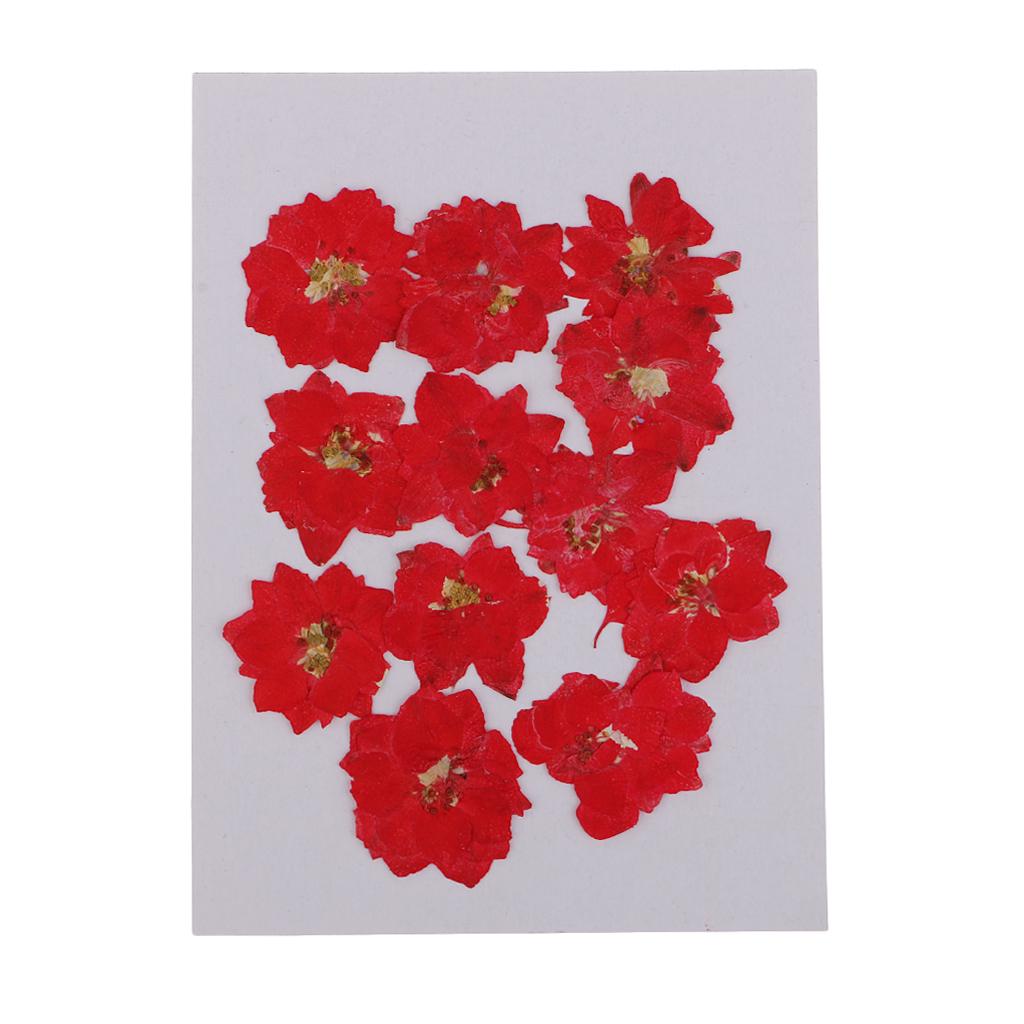 Pressed Dried Flowers Natural Dried Flowers for Candle and Soap Making Mini Dried Flower Bouquet for DIY Decorations