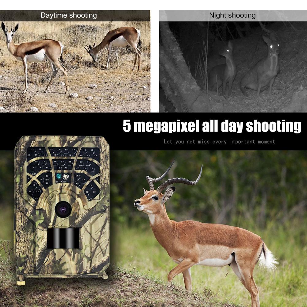 Профессиональная камера для охотничьих троп, водонепроницаемая, 5 Мп, HD 720p, Wildcamera, без свечения, ночного видения, для наблюдения за дикой природой на открытом воздухе, на расстоянии