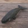 Детская Игрушка Кашалот Образовательная Симуляция Миниатюрная Модель Животного Домашний Декор