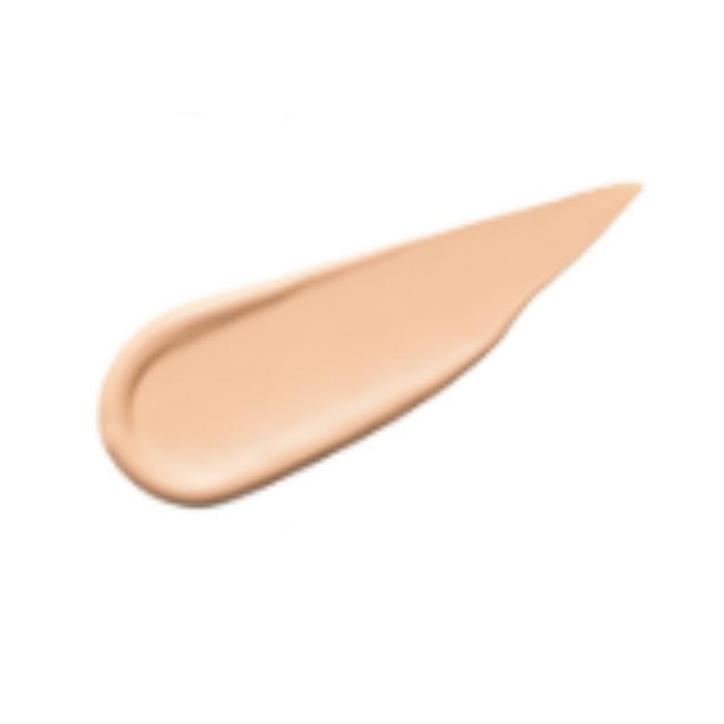 THE SAEM Cover Perfection Tip Concealer 9.5g (10 Shades)