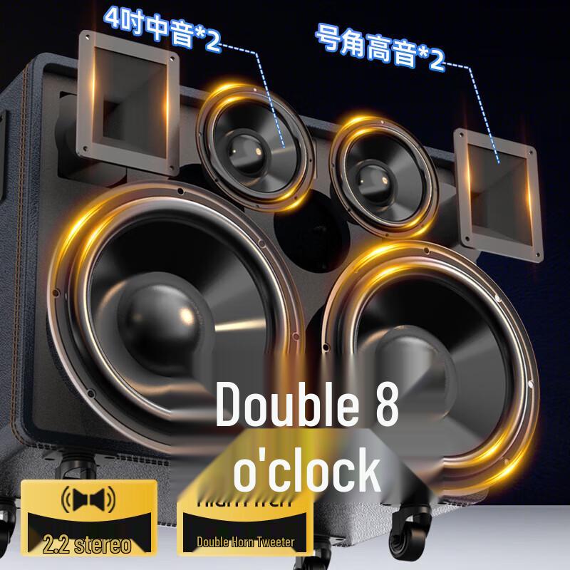 Sansui MD289 Portable Outdoor KTV Speaker System with Display