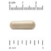 Milk Thistle Extract, 300 mg, 200 Veg Capsules