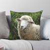 Sheep In A Pasture Square Pillowcase Polyester Linen Velvet Creative Zip Decor Sofa Cushion Cover Wholesale x