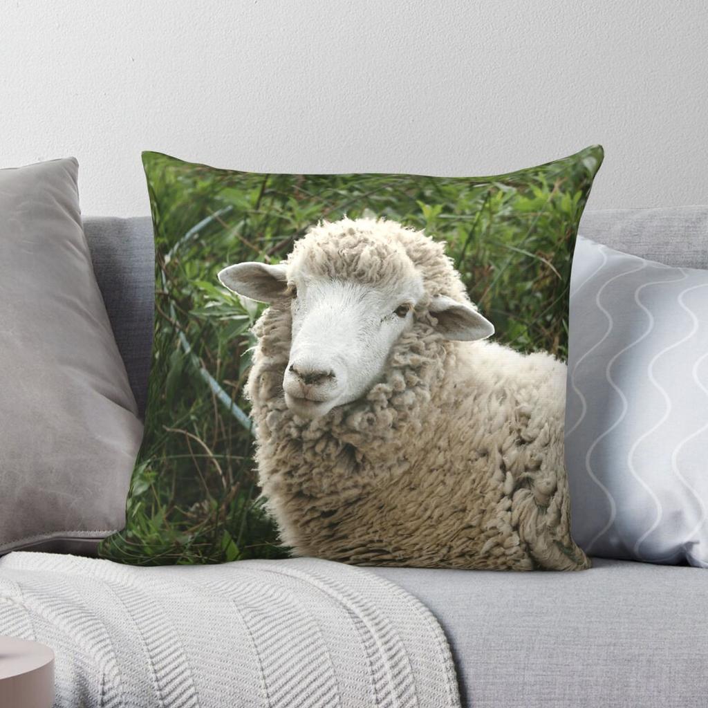 Sheep In A Pasture Square Pillowcase Polyester Linen Velvet Creative Zip Decor Sofa Cushion Cover Wholesale x
