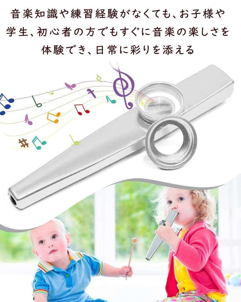 Tibemi Aluminum Alloy Whistling Portable Accompaniment Includes 10 Dustproof and Storage Perfect for Classroom and Blue Instrument, Toy, Whistles,